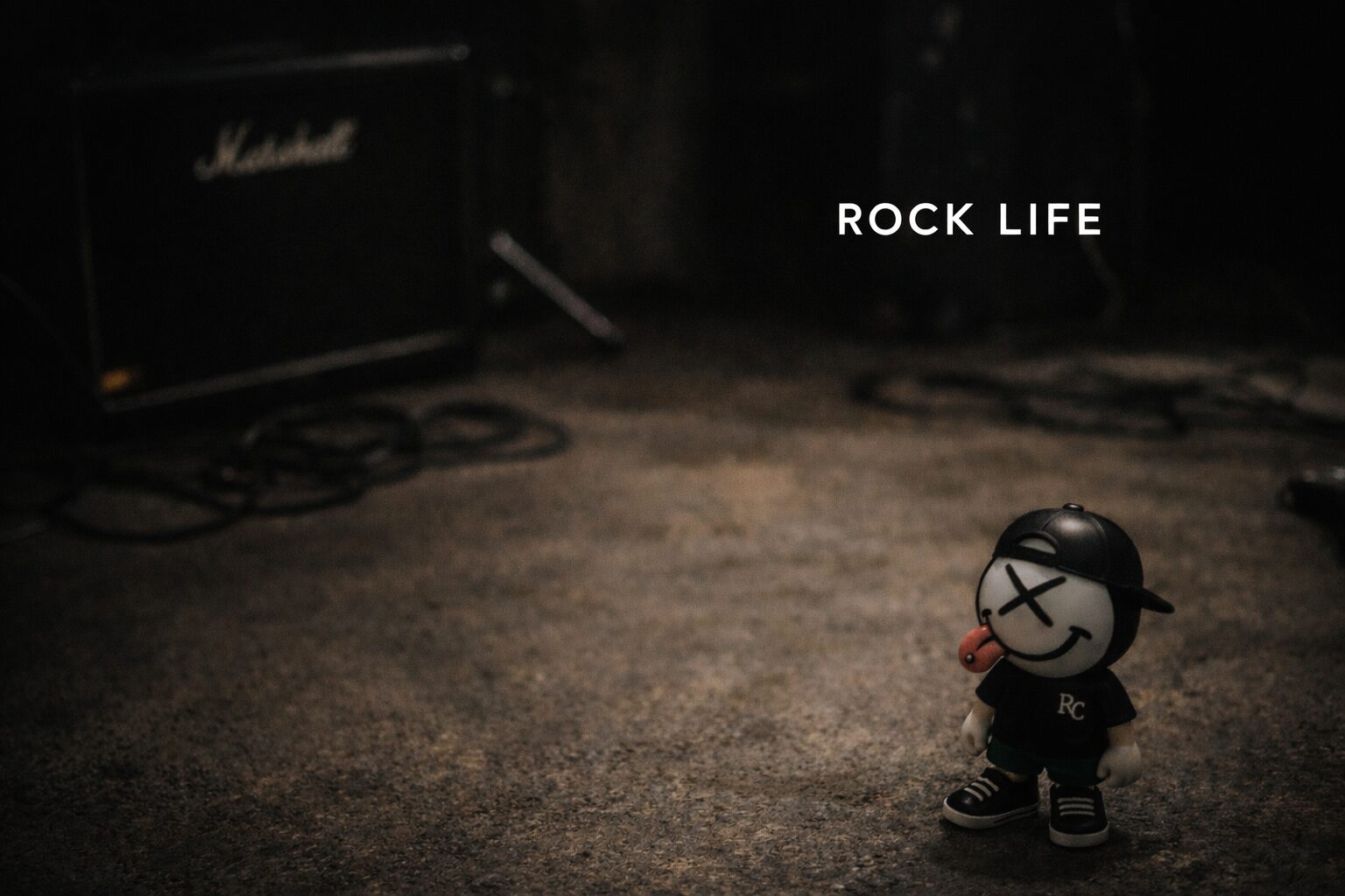 rock life
